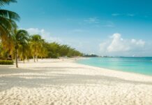 What 2026 winter travel trends mean for Cayman winter