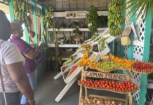 Agriculture show launches national food security campaign agriculture