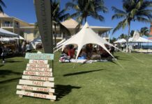IslandSoul Festival soars with programme of yoga, dance and art IslandSoul festival