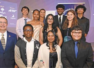 Chamber of Commerce pathways and practice