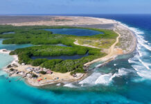 Dutch court delivers landmark judgment in Bonaire climate change case bonaire climate case