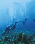 Cayman’s available scholarships open doors to opportunity