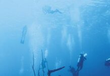 Cayman’s available scholarships open doors to opportunity