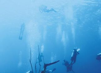 Cayman’s available scholarships open doors to opportunity
