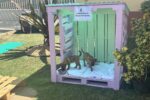 Pallets for pups: Recycled doghouses tackle neglect in Cayman pallets