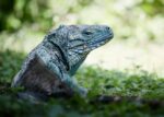 Pic of the week: Friendly Forrest