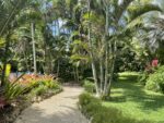 Exploring nature with kids on Grand Cayman The Queen Elizabeth II Botanic Park features trails through lush landscape filled with fauna and flora. - Photos: Francesca Gardner