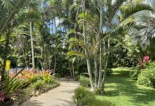Exploring nature with kids on Grand Cayman The Queen Elizabeth II Botanic Park features trails through lush landscape filled with fauna and flora. - Photos: Francesca Gardner