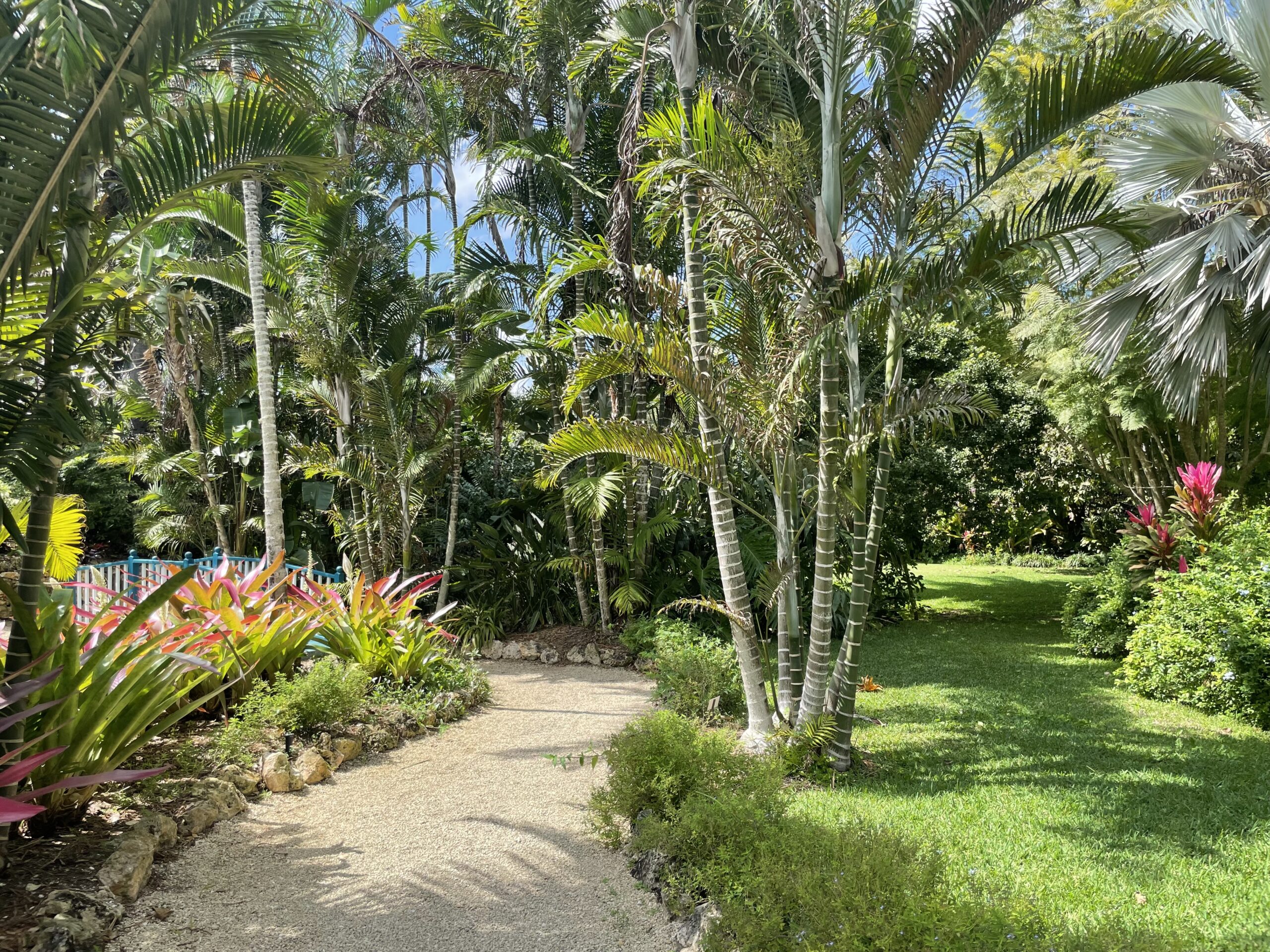 Botanic Park nature trail 1 The Queen Elizabeth II Botanic Park features trails through lush landscape filled with fauna and flora. - Photos: Francesca Gardner