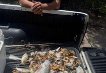 Suspected poachers caught in inter-agency operation