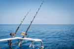 Fourteen anglers compete in Junior Offshore Challenge