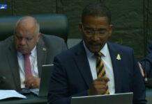 Parliament passes motion to ban face masks in public following robberies Kenneth Bryan mask debate 5 March