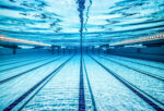 Stingray Swim Club launches free scholarship for government school students