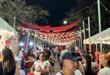 A magical vibe at Red Sky at Night
