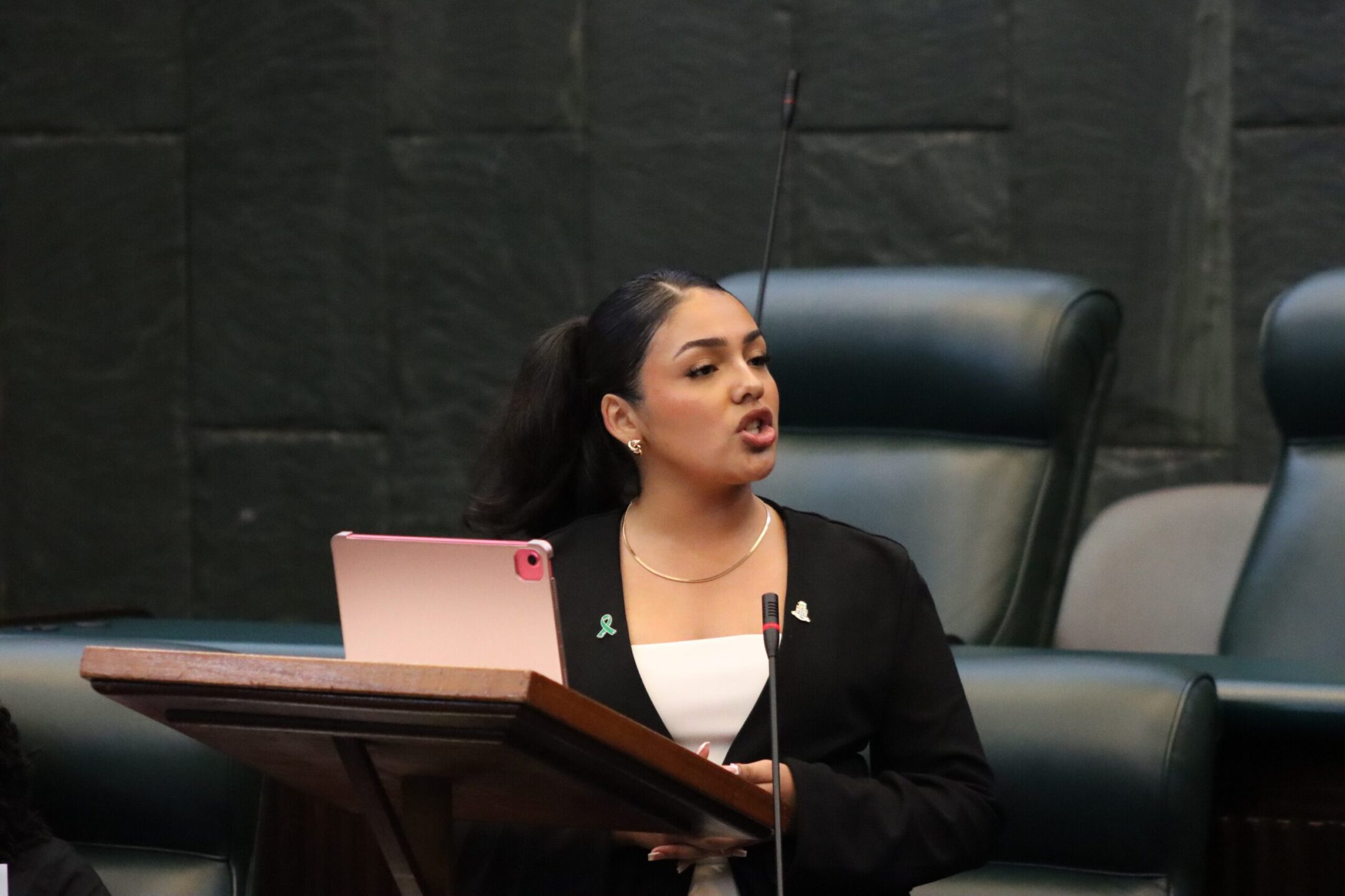 Alison Hernandez-Pavon