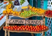 Local fruits and vegetables key to Cayman’s food security push fruits and vegetables