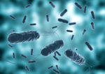 Cholera case detected in Cayman
