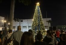 How Rotary is celebrating its 60th year by looking to the future