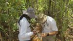 Moderate mosquito activity expected over Easter weekend