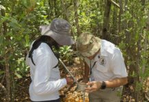 Moderate mosquito activity expected over Easter weekend