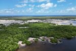 Cayman protected areas expanded under 2026 order