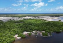 Cayman protected areas expanded under 2026 order