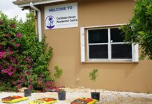 Native trees planted for Caribbean Haven’s 25th anniversary