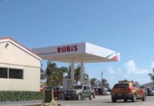 Fuel duty cuts may take time to flow to pumps