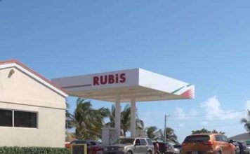 Fuel duty cuts may take time to flow to pumps