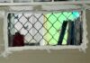 Female prisoners report mould, decay and inhumane conditions