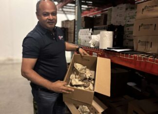 Primitive Greens scales up through Progressive Distributors partnership primitive greens