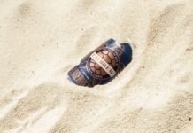 Caybrew’s new release ‘Lagerhead’ supports turtle conservation