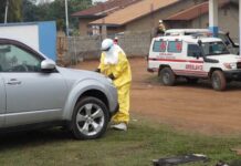 Health officials activate enhanced screening as WHO issues Ebola advisory