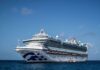 Hantavirus, norovirus pose low risk to Caribbean cruise sector