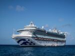 Hantavirus, norovirus pose low risk to Caribbean cruise sector