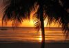 Foreign office issues travel warning to Brits travelling to Jamaica jamaica
