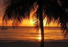 Foreign office issues travel warning to Brits travelling to Jamaica jamaica