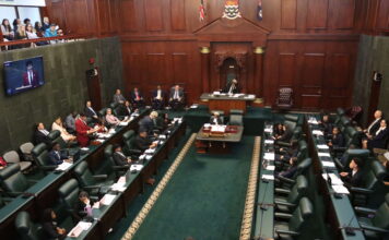 Social media ban debated in first ever Summer Youth Parliament