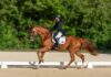 Cayman to host FEI Dressage World Challenge as season finale