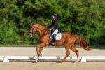 Cayman to host FEI Dressage World Challenge as season finale