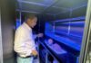 Expansion planned for Cayman’s coral laboratory