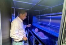 Expansion planned for Cayman’s coral laboratory
