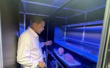 Expansion planned for Cayman’s coral laboratory