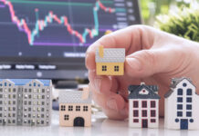 The diversification illusion: A Cayman perspective
