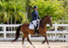 Cayman equestrians achieve international competitive scores on home soil