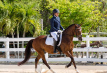 Cayman equestrians achieve international competitive scores on home soil