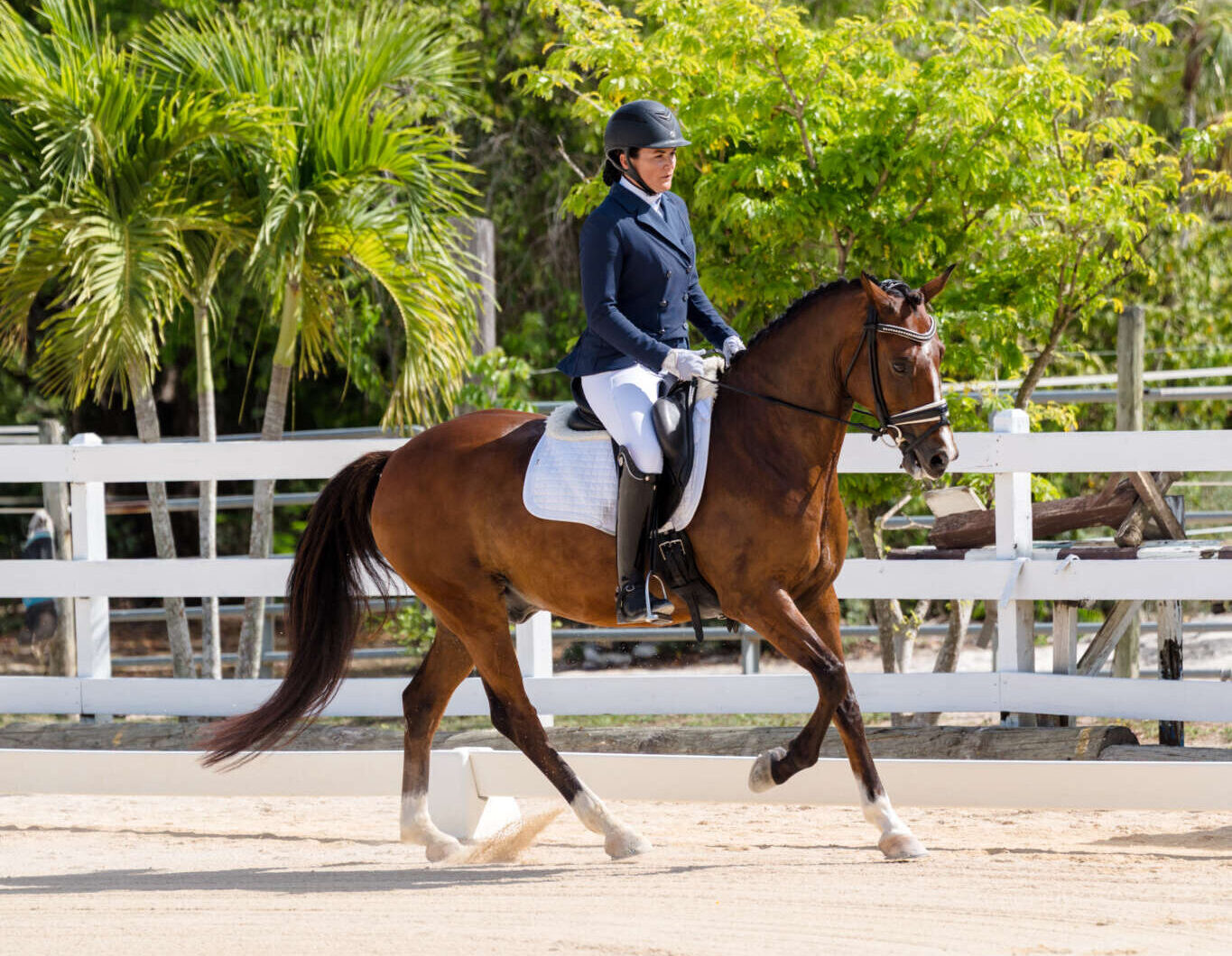 Equestrian Center - FEI Test Jun26