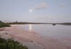 Malportas Pond: A place of birds, birdwatching and mystery