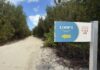 Global running event parkrun to launch in Cayman
