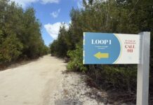 Global running event parkrun to launch in Cayman